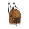 Louis Vuitton Palm Springs Mini Bagpack Reverse