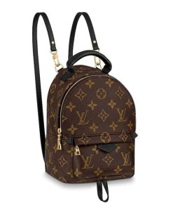 Louis Vuitton Palm Springs Mini Bagpack