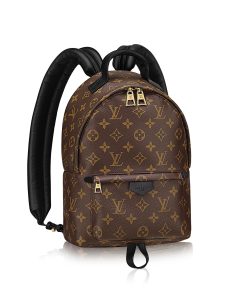 Palm Springs Backpack PM Monogram Canvas