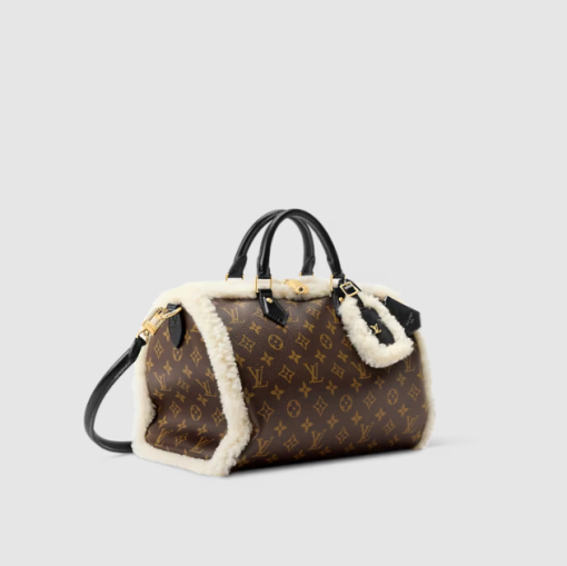 Louis Vuitton Speedy Soft 30 Teddy Bag - Image 2