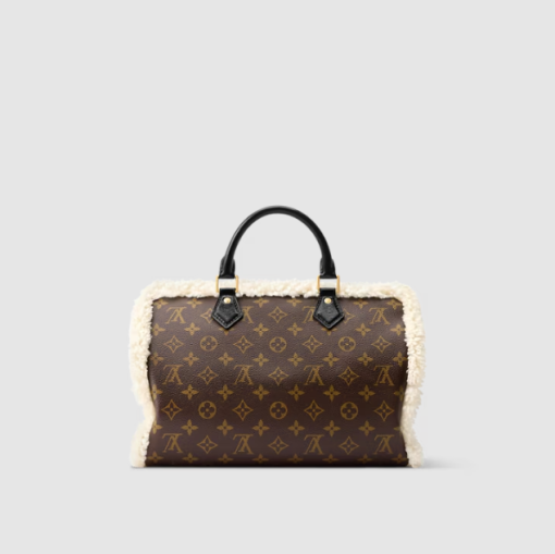 Louis Vuitton Speedy Soft 30 Teddy Bag - Image 3