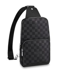 Louis Vuitton Avenue Back Pack