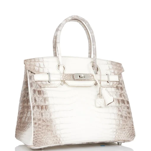 Herm?s Birkin 30 Himalaya Crocodile Palladium - Image 2
